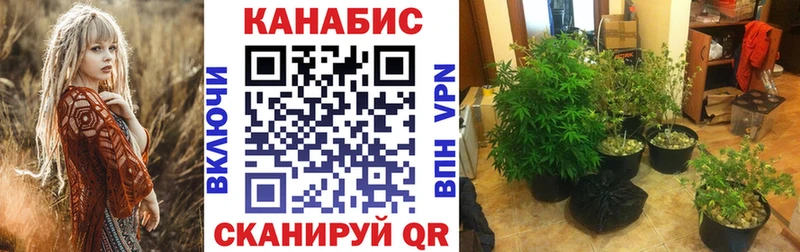 кракен как зайти  Берёзовка  Каннабис OG Kush  наркотики 